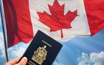 加拿大签证进度查询